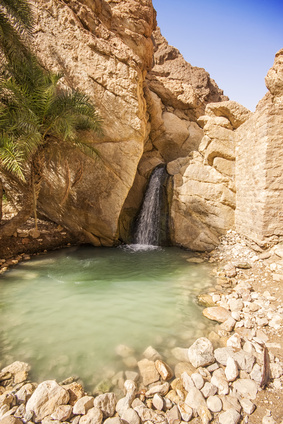 Waterfall in mountain oasis Chebika, Tunisia, Africa