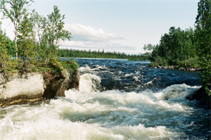 let-the-river-flow